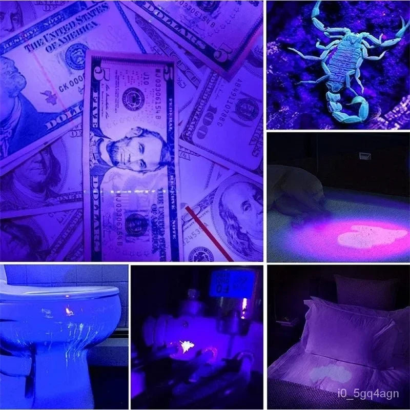 UV Flashlight — Bed Bug Detector & Stain Finder