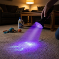 UV Flashlight lifestyle