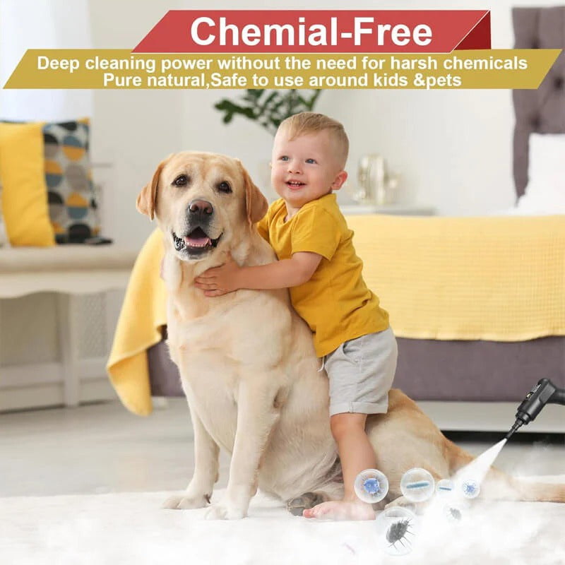 2500W High-Pressure Steam Cleaner with Protective Gloves