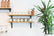 HomewareTrinkets - Home